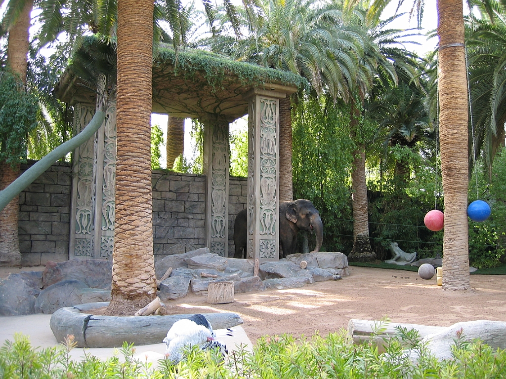 063 Secret Garden Mirage.jpg